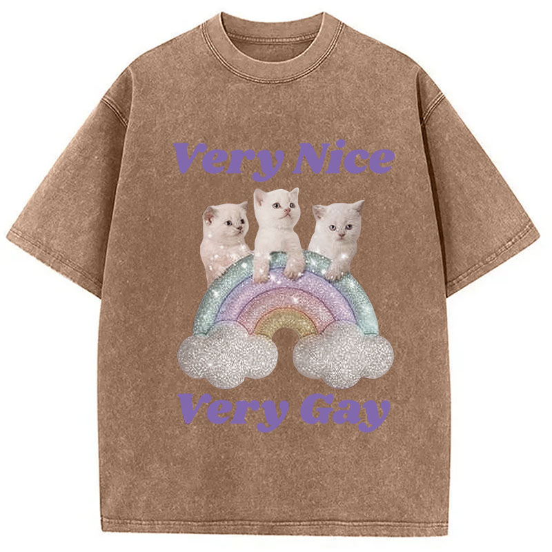 Tokyocanvas Very Nice Very Gay Washed T-Shirt