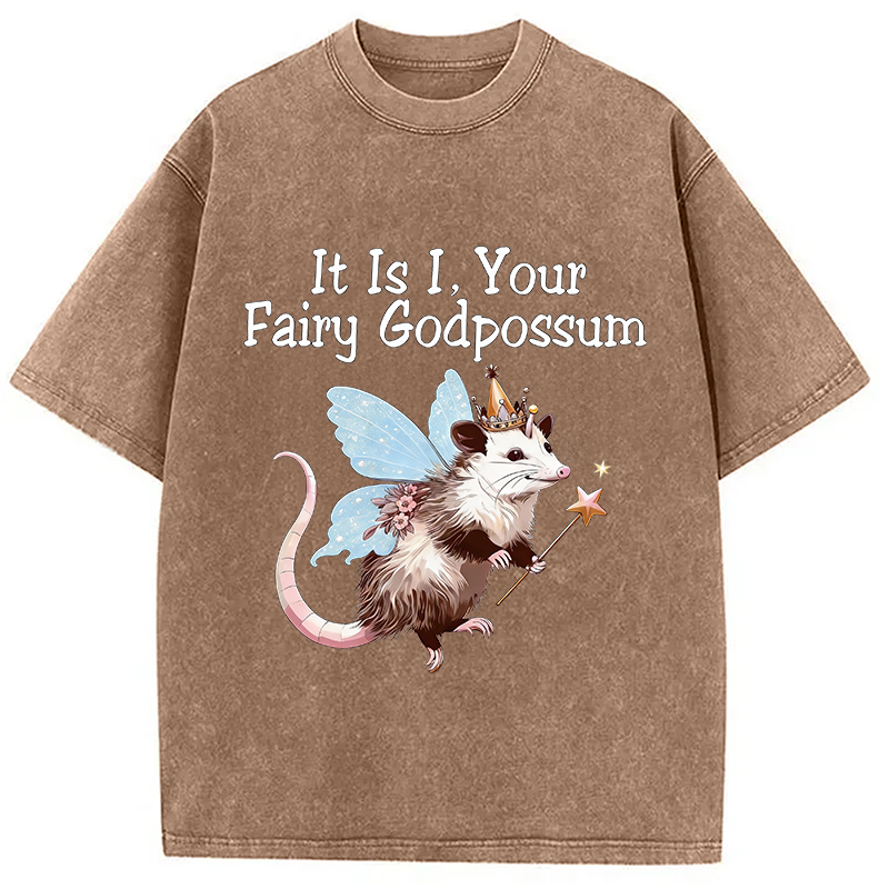 Tokyocanvas It Is I Your Fairy Godpossum Washed T-Shirt