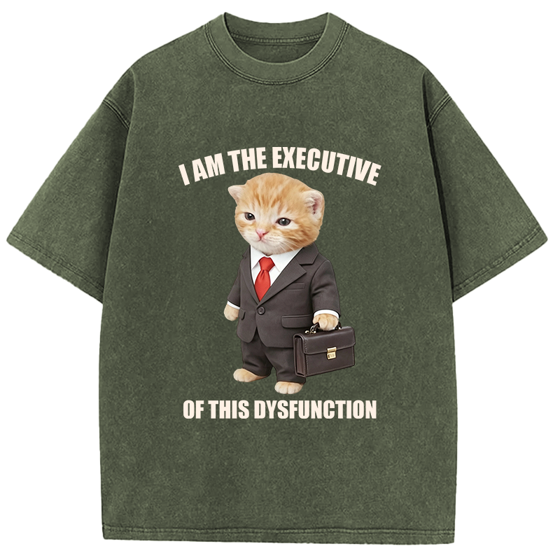 Tokyocanvas I Am The Executive Of This Dysfunction Washed T-Shirt