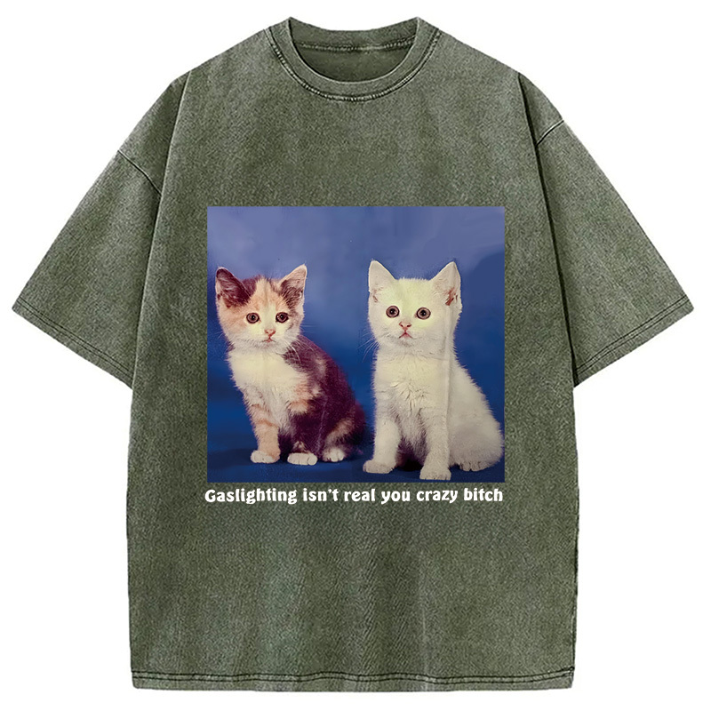 Tokyocanvas Gaslighting Isn't Real You Crazy Bit*h Washed T-Shirt