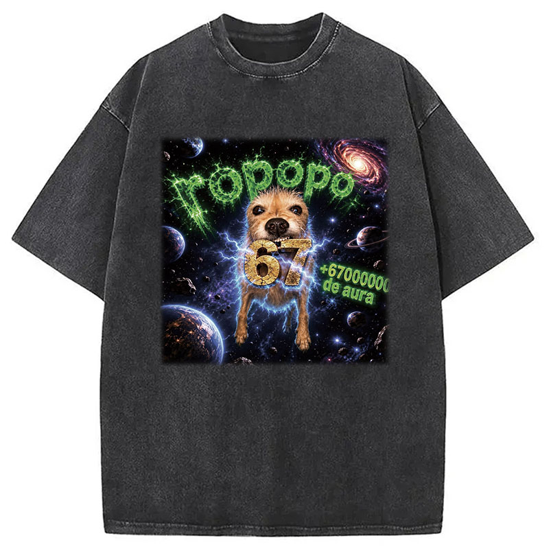 Tokyocanvas Ropopo Aura Dog Washed T-Shirt