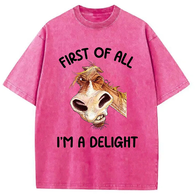 Tokyocanvas First of All I'm a Delight Horse Washed T-Shirt