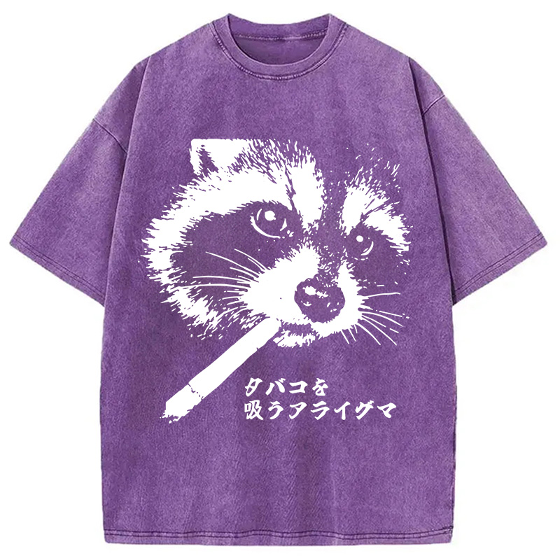 Tokyocanvas Somking Raccoon Washed T-Shirt