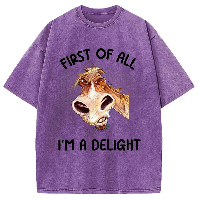 Tokyocanvas First of All I'm a Delight Horse Washed T-Shirt