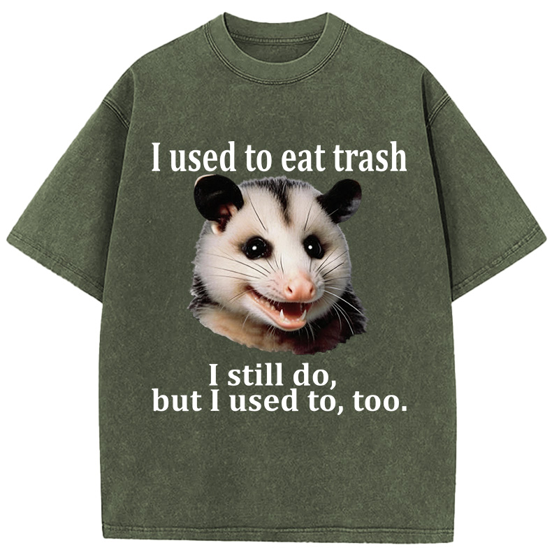Tokyocanvas Possum Washed T-Shirt
