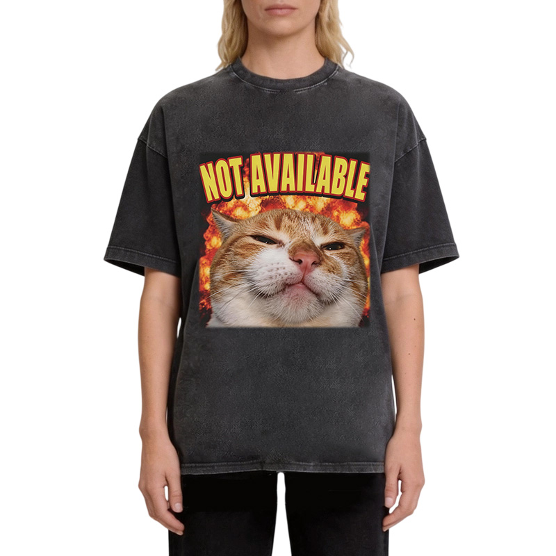 Tokyocanvas Not Available Cat Meme Washed T-Shirt