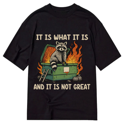 Tokyocanvas It Is What It Is Dumpster Fire Funny Raccoon Meme Classic T-Shirt