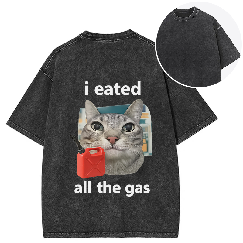 Tokyocanvas I Eated All The Gas Cat Funny Back Washed T-Shirt