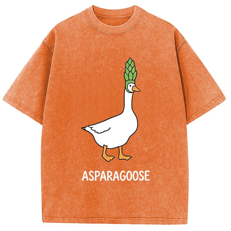 Tokyocanvas Asparagoose Washed T-Shirt