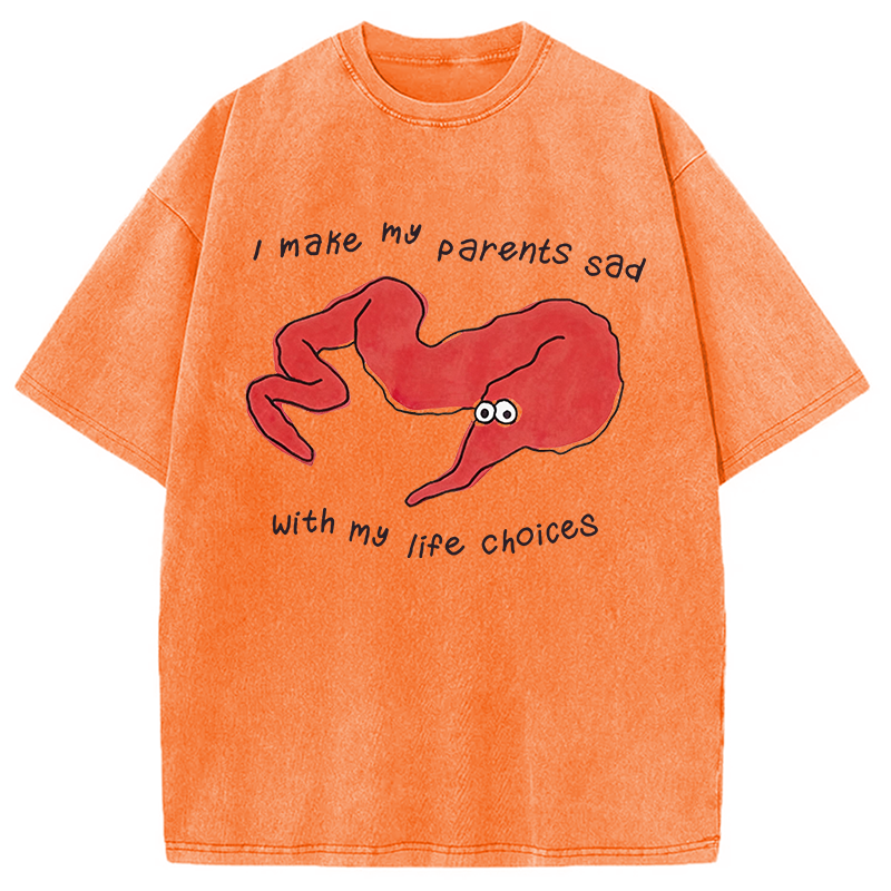 Tokyocanvas My Life Choices Meme Washed T-Shirt
