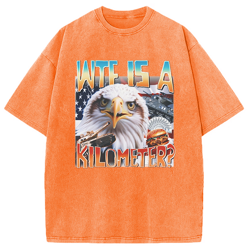 Tokyocanvas Funny America Freedom Eagle Meme Washed T-Shirt