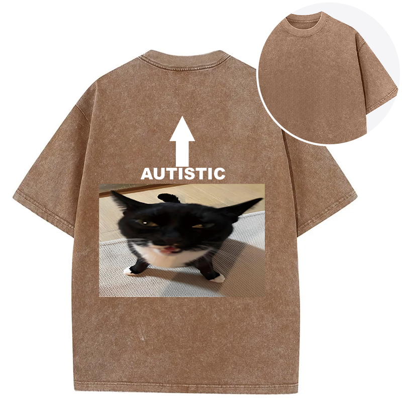 Tokyocanvas Autistic Cat Back Washed T-Shirt