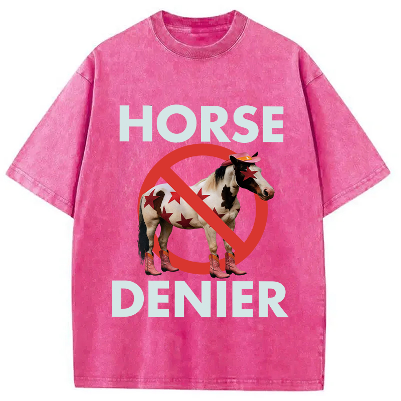Tokyocanvas Funny Star-Spangled Cowboy Horse Denier Washed T-Shirt