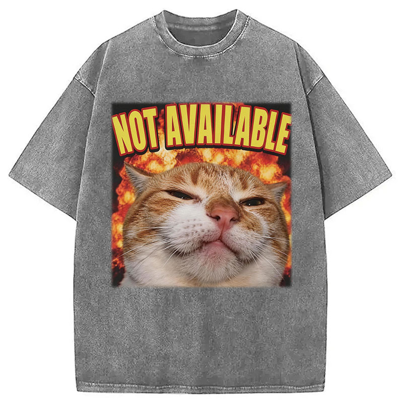 Tokyocanvas Not Available Cat Meme Washed T-Shirt