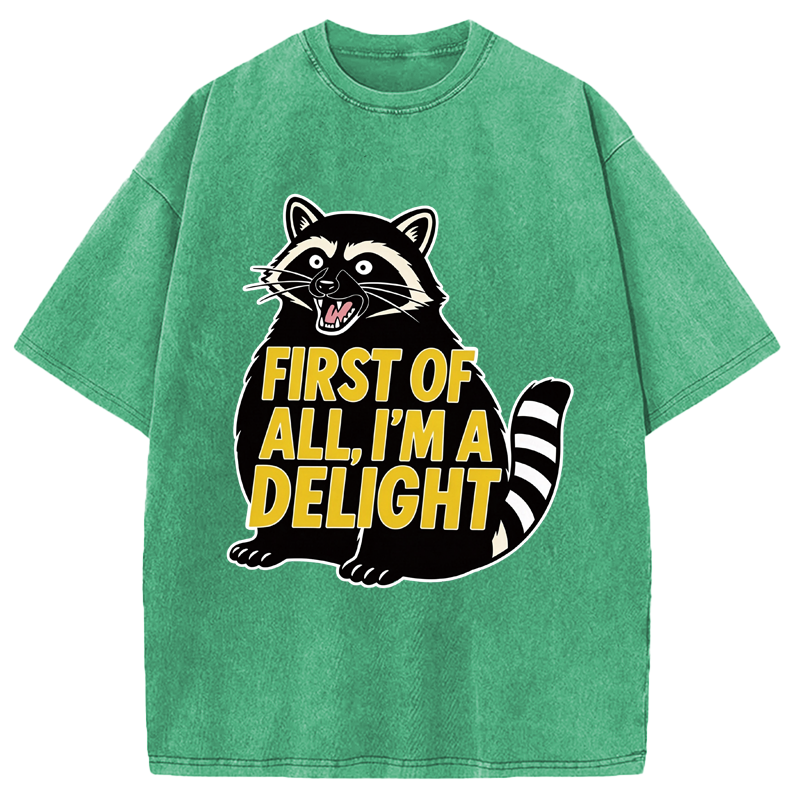 Tokyocanvas First of All I'm a Delight Raccoon Washed T-Shirt