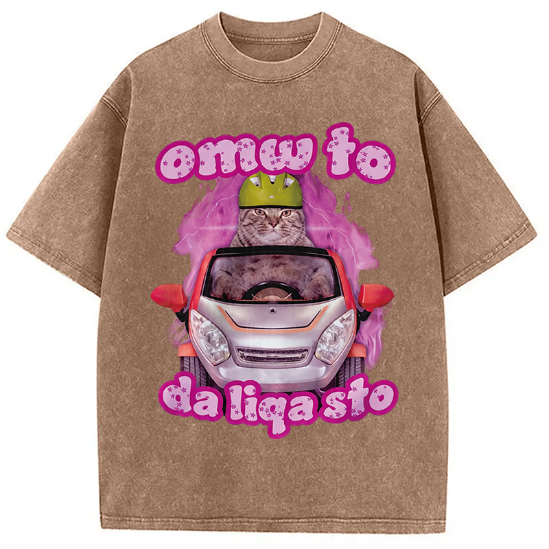 Tokyocanvas Only The Will To Funny Cat Meme Washed T-Shirt