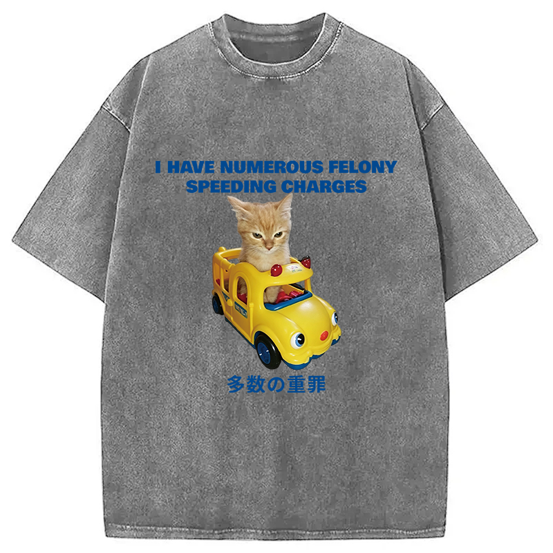 Tokyocanvas I Have Numerous Felonies For Speeding Washed T-Shirt