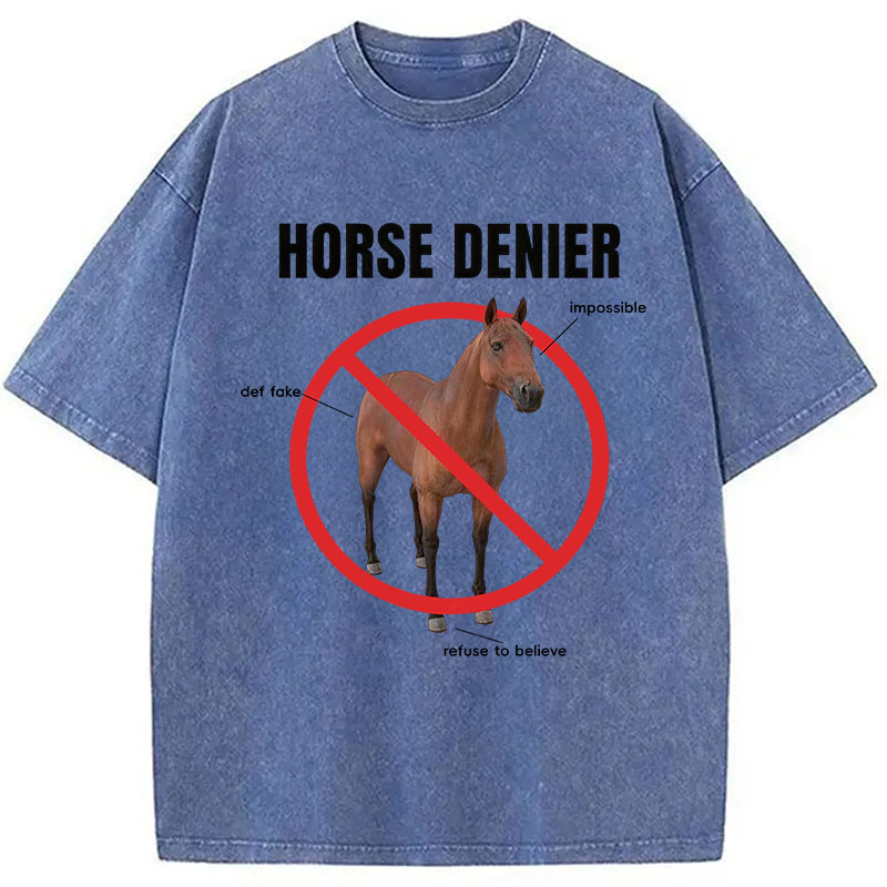 Tokyocanvas Horse Denier Analysis Washed T-Shirt
