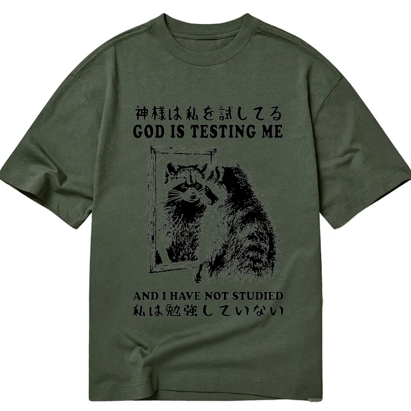 Tokyocanvas Raccoon Not Studied Classic T-Shirt