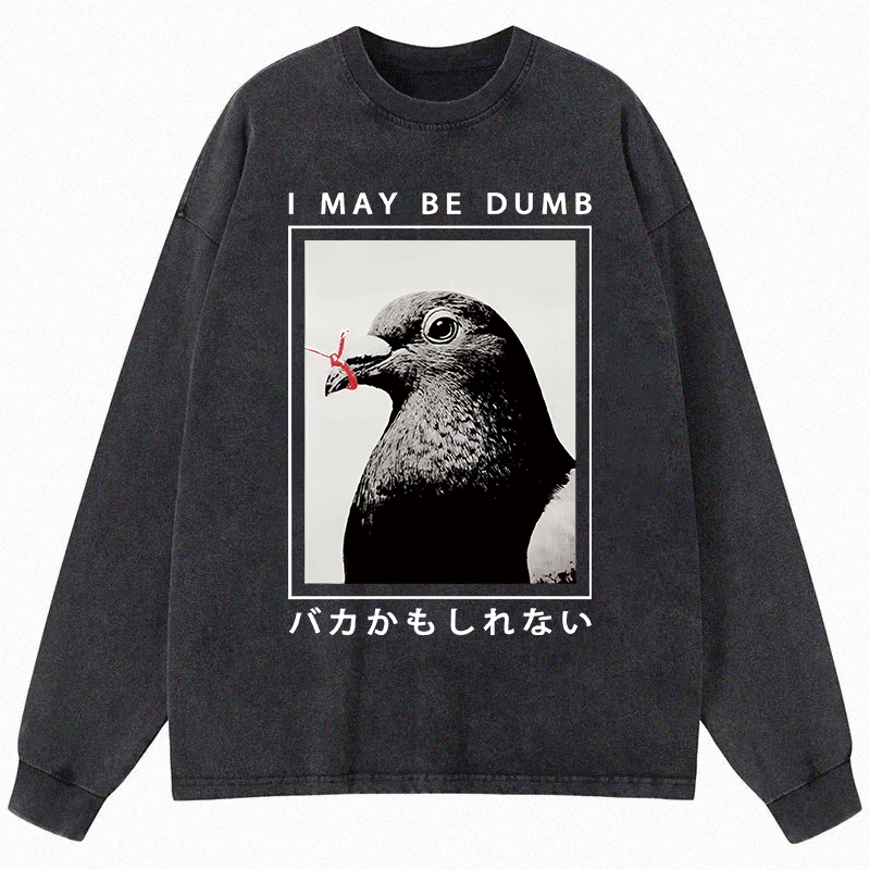 Tokyocanvas I May Be Dumb Funny Long Sleeve Washed T-Shirt