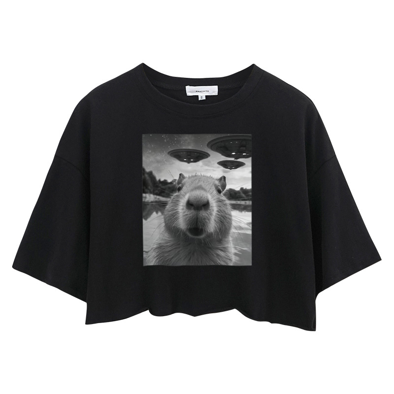 Tokyocanvas Funny Capybara UFO Crop Top