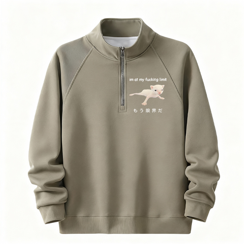 Tokyocanvas Cat Reaching Its Limit Half-Zip Sweatshirt