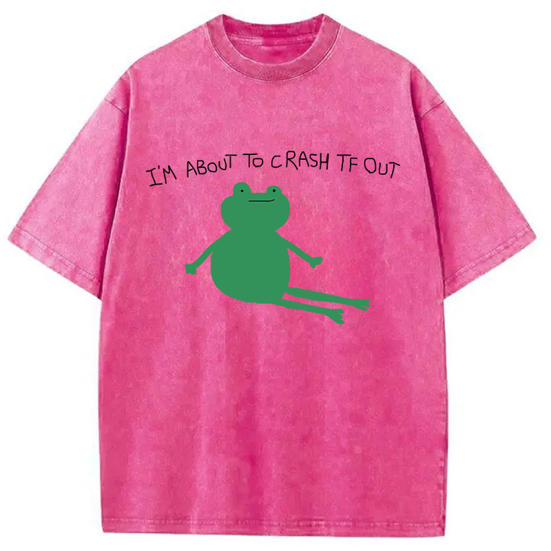 Tokyocanvas I'm About To Crash Tf Out Washed T-Shirt