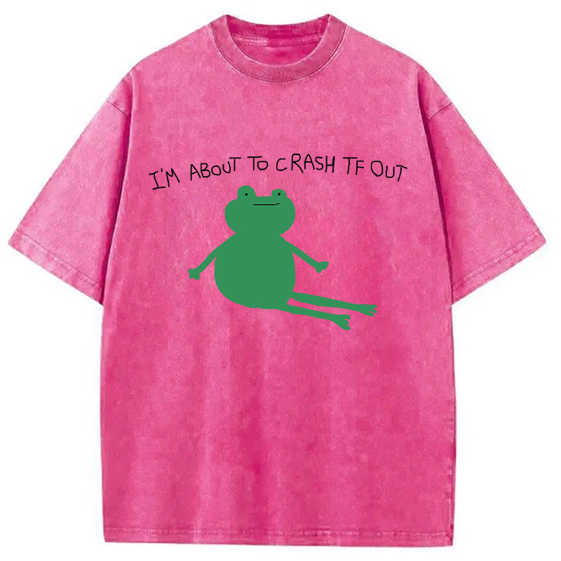 Tokyocanvas I'm About To Crash Tf Out Washed T-Shirt