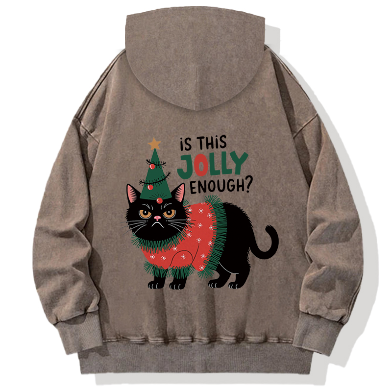 Tokyocanvas Christmas-humor Cat Back Washed Hoodie