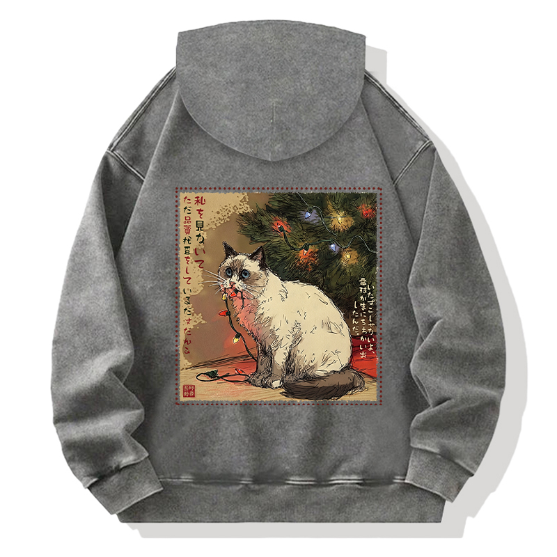 Tokyocanvas Quality Check in Progress Back Washed Hoodie