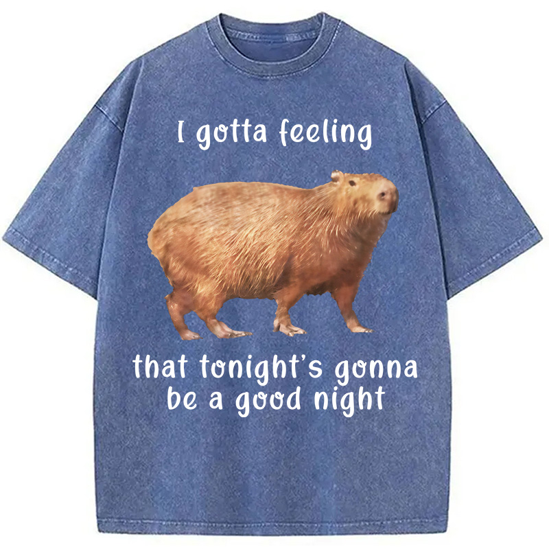 Tokyocanvas Capybara Gotta Feeling Washed T-Shirt