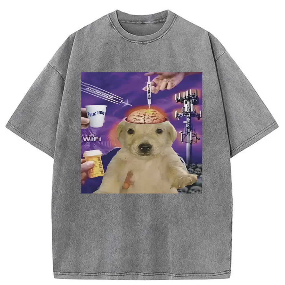 Tokyocanvas Brainwashed Jotchua Meme Washed T-Shirt