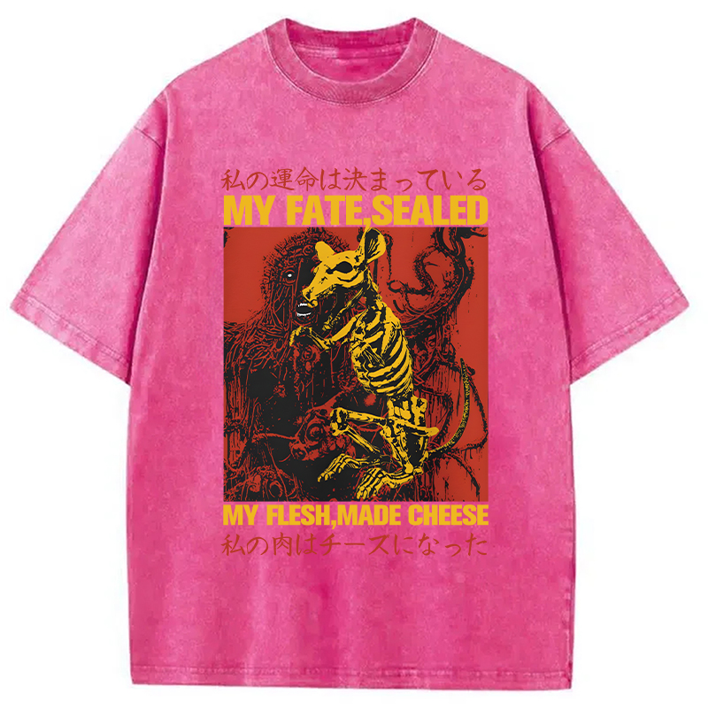 Tokyocanvas Funny Vintage Japanese Rat Washed T-Shirt