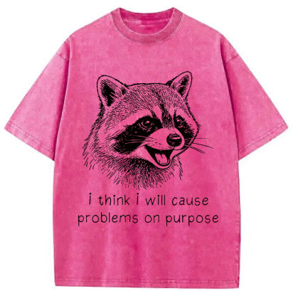 Tokyocanvas Stupid Raccoon Funny Washed T-Shirt
