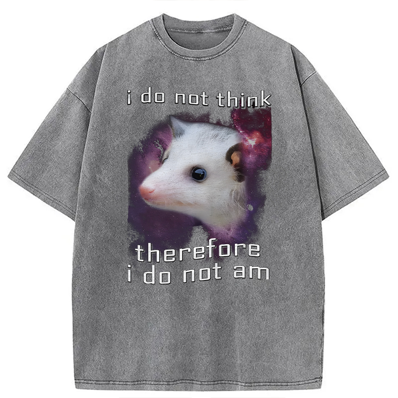 Tokyocanvas Confused Possum Space Washed T-Shirt