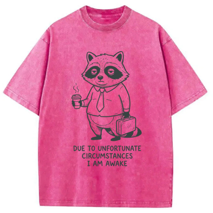 Tokyocanvas Grumpy Raccoon Morning Washed T-Shirt