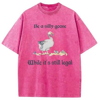 Tokyocanvas Be A Silly Goose Washed T-Shirt