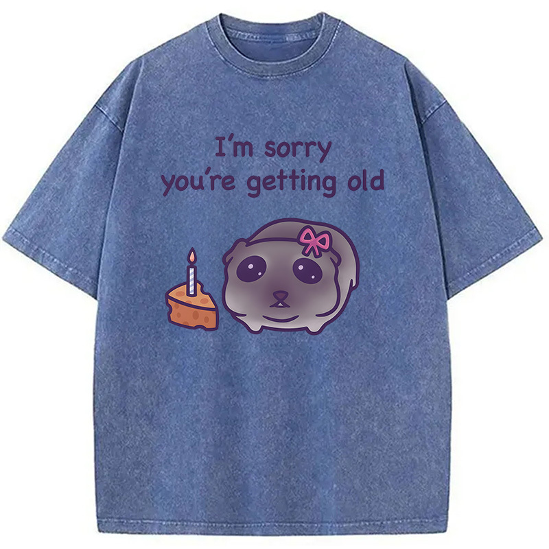 Tokyocanvas Sad Hamster Birthday Meme Washed T-Shirt