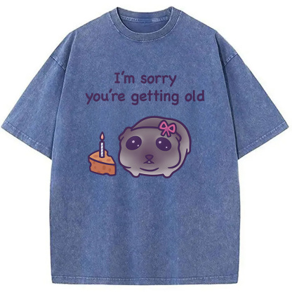 Tokyocanvas Sad Hamster Birthday Meme Washed T-Shirt
