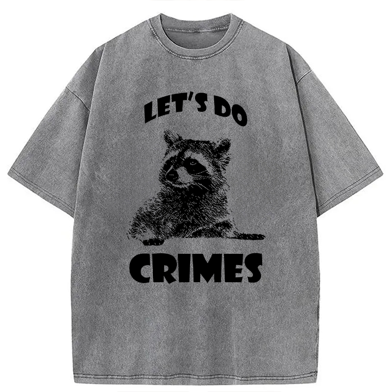 Tokyocanvas Raccoon Let's Do Crimes Washed T-Shirt