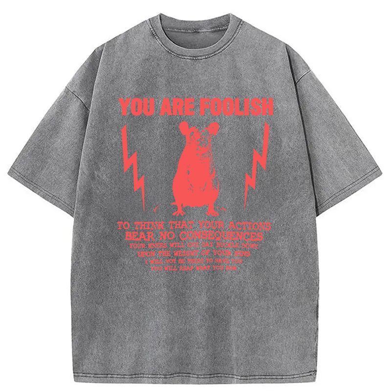 Tokyocanvas You Are Foolish Rat Meme Washed T-Shirt