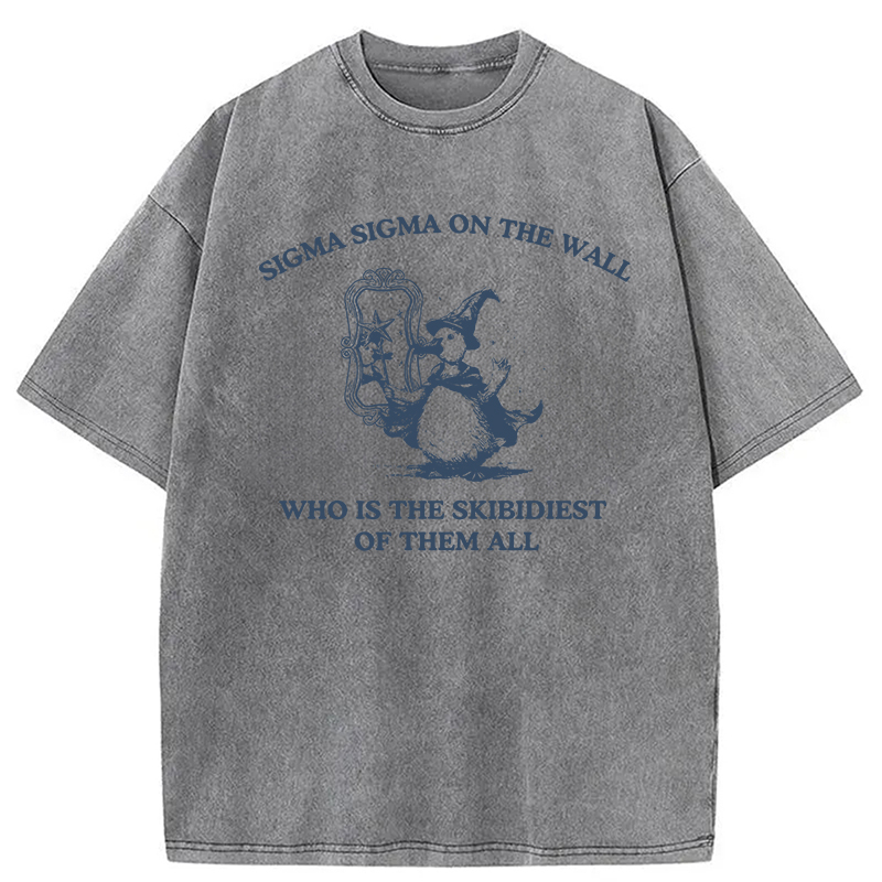 Tokyocanvas Sigma Sigma On The Wall Funny Brainrot Goose Washed T-Shirt