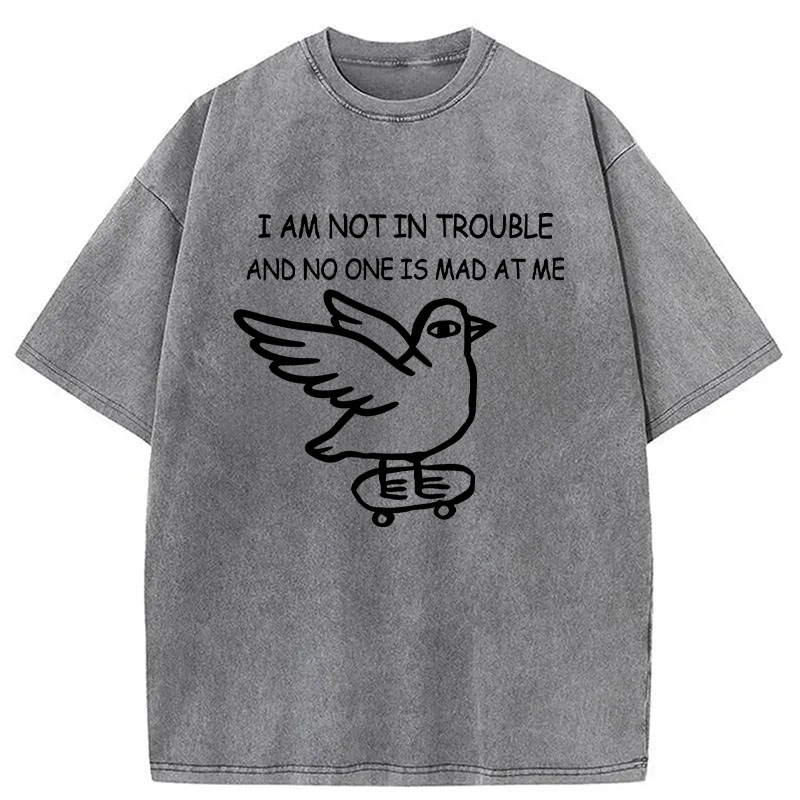 Tokyocanvas Bird Pretends It Did Nothing Wrong Washed T-Shirt