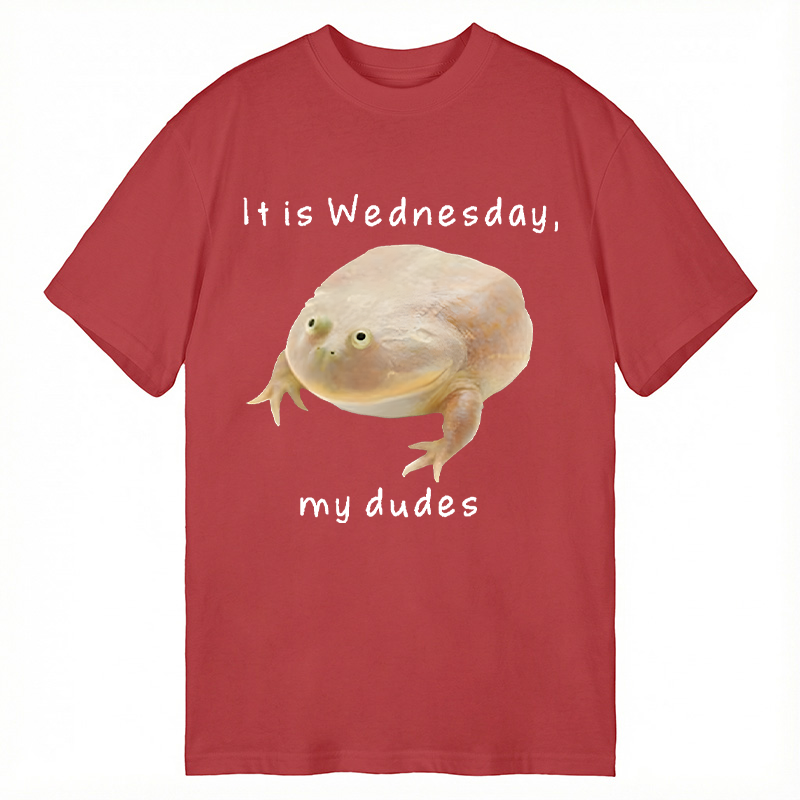 Tokyocanvas It's Wednesday my dudes Classic T-Shirt
