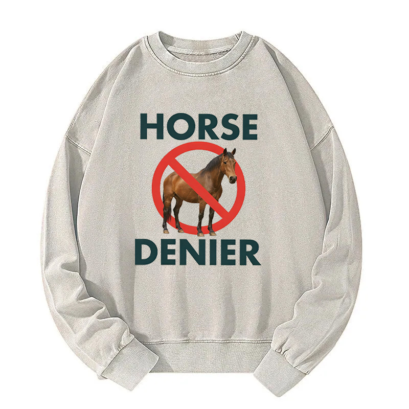 Tokyocanvas Funny Horse Denier Conspiracy Theory Washed Sweatshirt