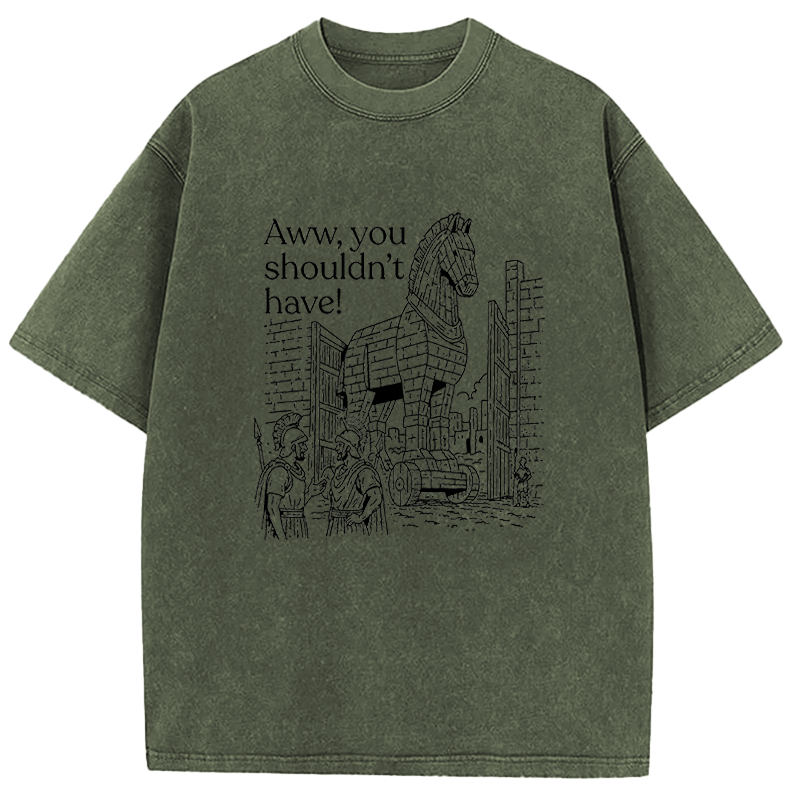 Tokyocanvas Aww, You Shouldn't Have! Washed T-Shirt
