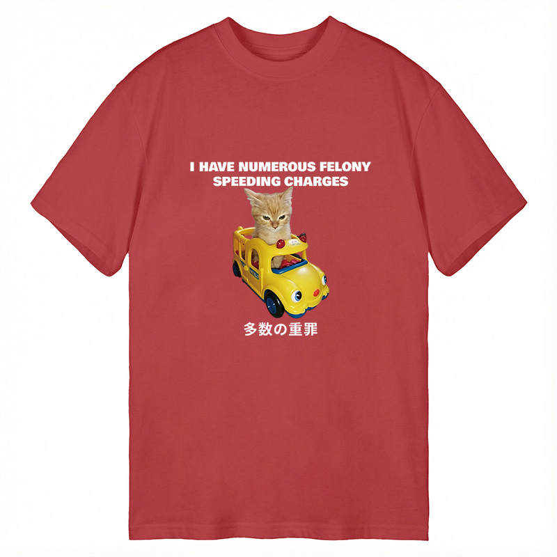 Tokyocanvas I Have Numerous Felonies For Speeding Classic T-Shirt
