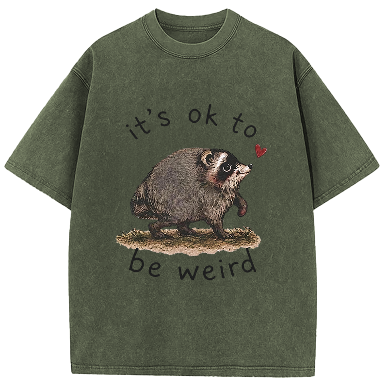 Tokyocanvas It’s OK to Be Weird Washed T-Shirt