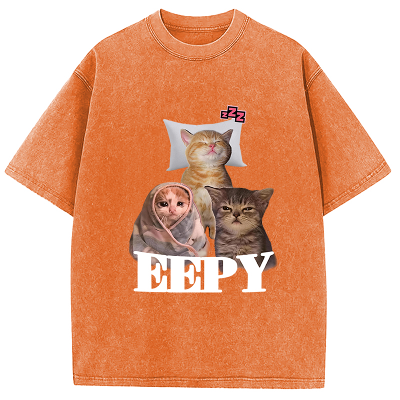 Tokyocanvas Eepy Cat Meme Washed T-Shirt