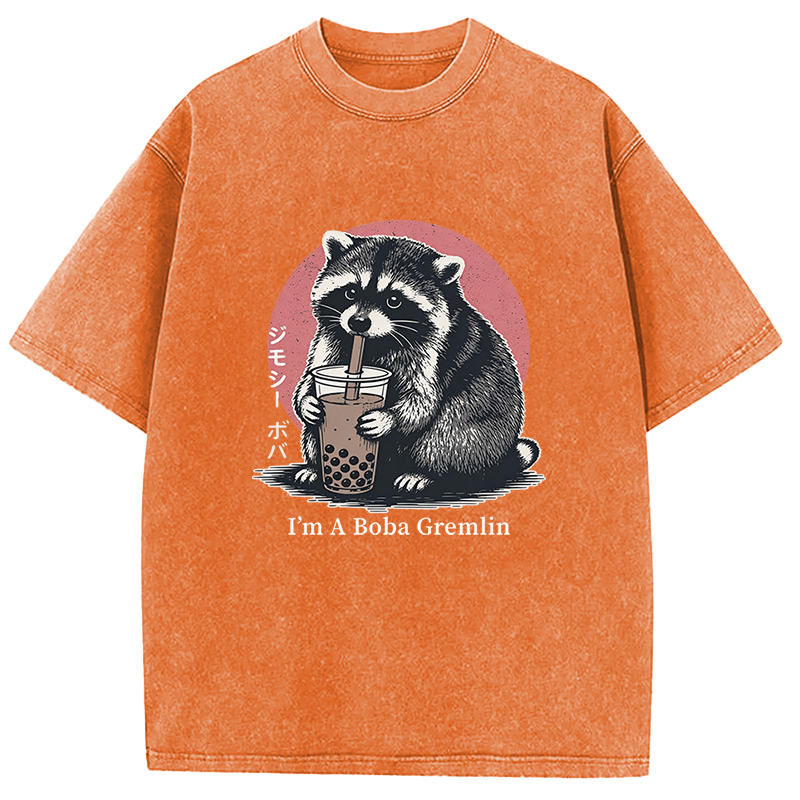Tokyocanvas Jimothy Raccoon Boba Washed T-Shirt